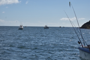 Mull of Galloway Sea Angling Festival 2019