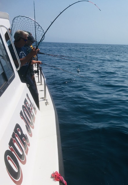 sea fishing trips devon